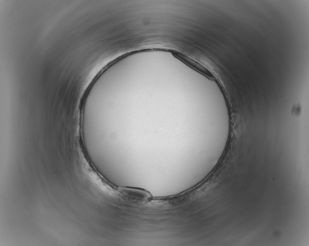 X0000112041140200908241556