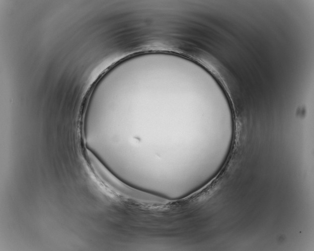 X0000112041141200908241556