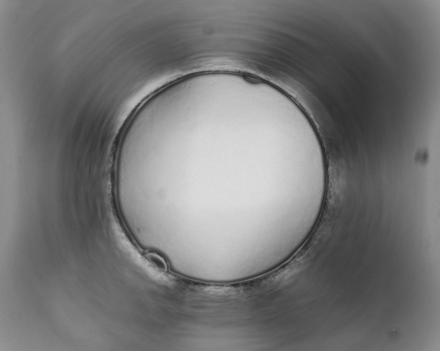 X0000112041142200908241556