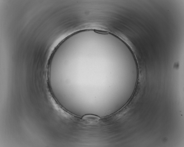 X0000112041144200908241556