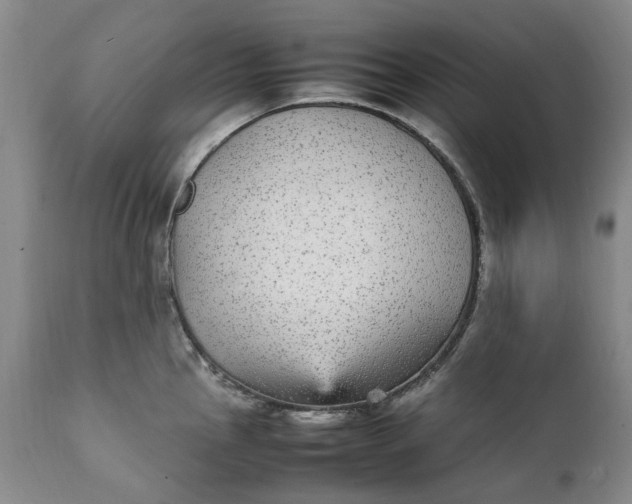 X0000112041145200908241556