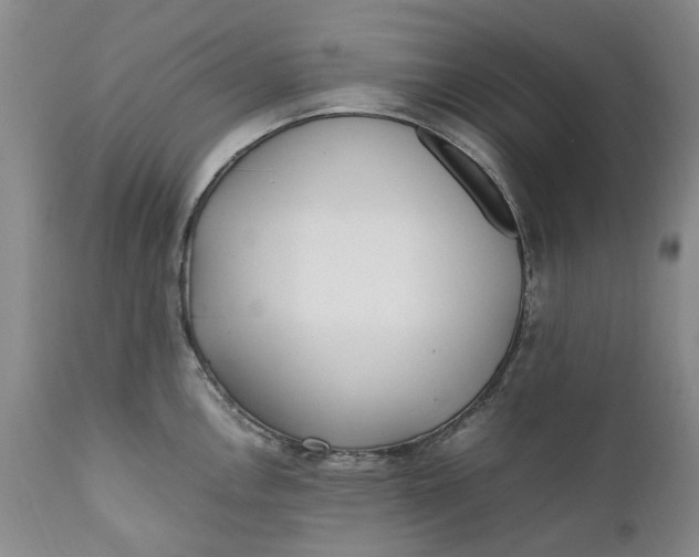 X0000112041146200908241556