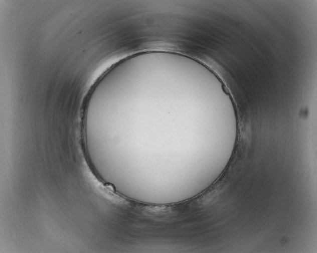 X0000112041147200908241556