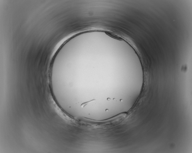 X0000112041148200908241556