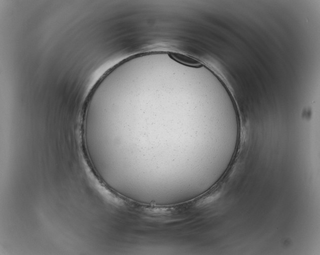 X0000112041149200908241556