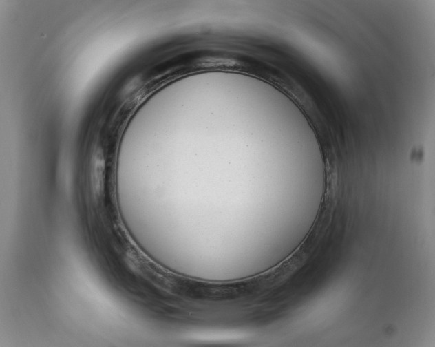 X0000112041151200908241556