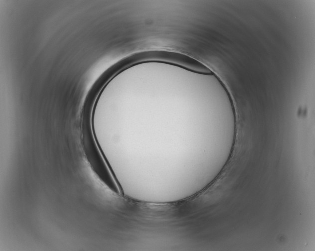 X0000112041152200908241556