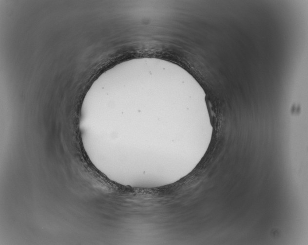 X0000112041153200908241555