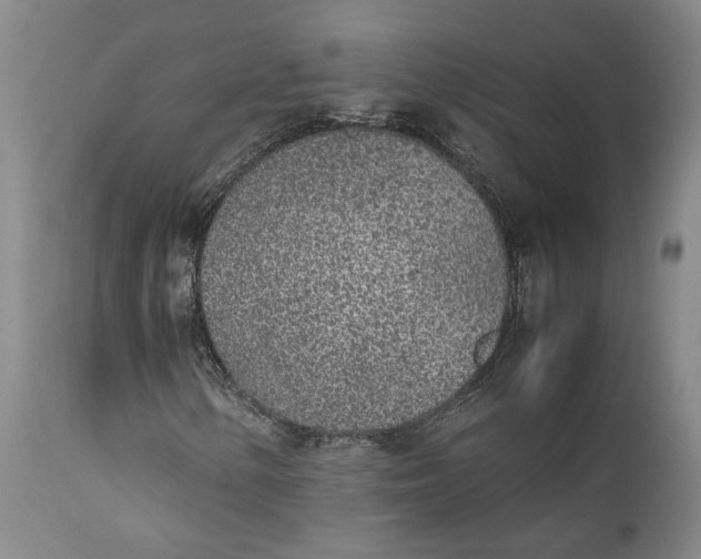 X0000112041154200908241555