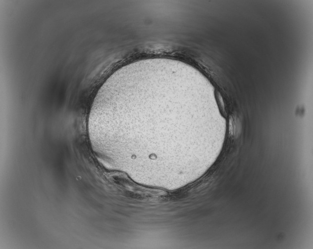 X0000112041155200908241555