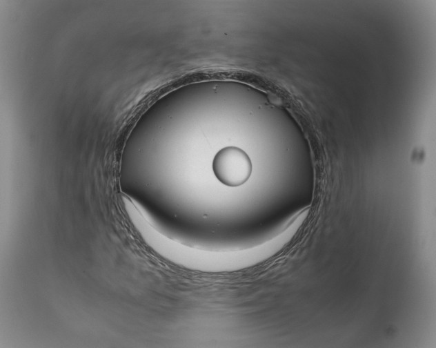 X0000112041157200908241555