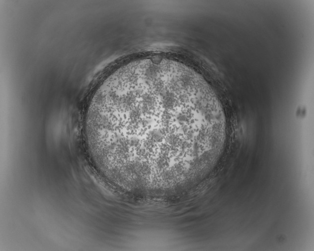 X0000112041158200908241555