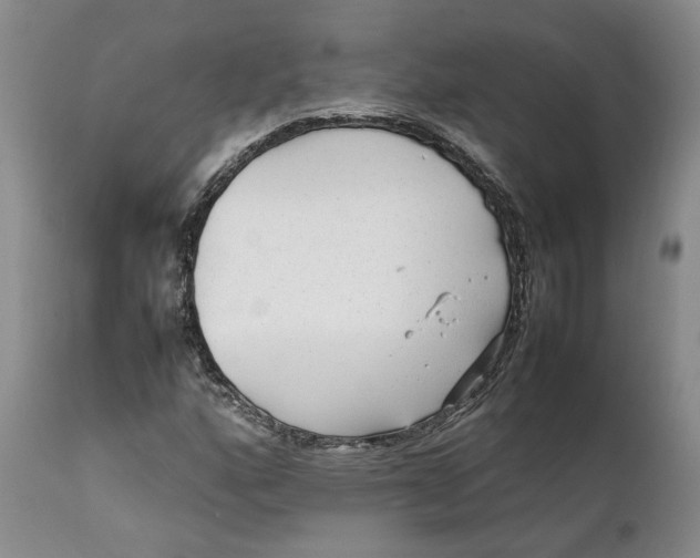 X0000112041160200908241555