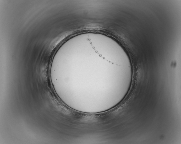 X0000112041162200908241555