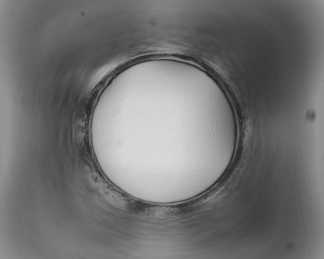 X0000112041163200908241555