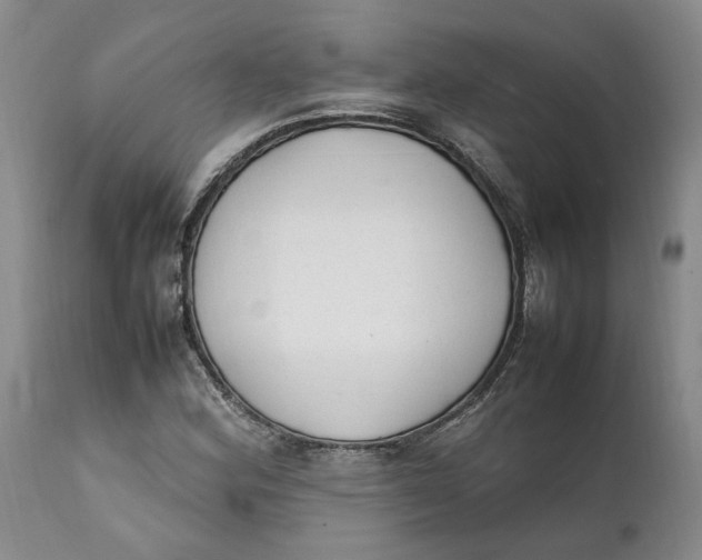 X0000112041164200908241555