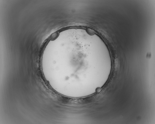 X0000112041165200908241555