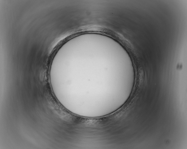 X0000112041166200908241555