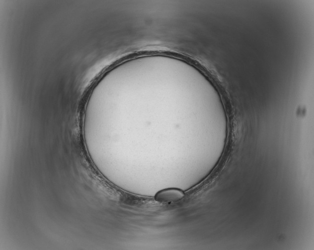 X0000112041167200908241555