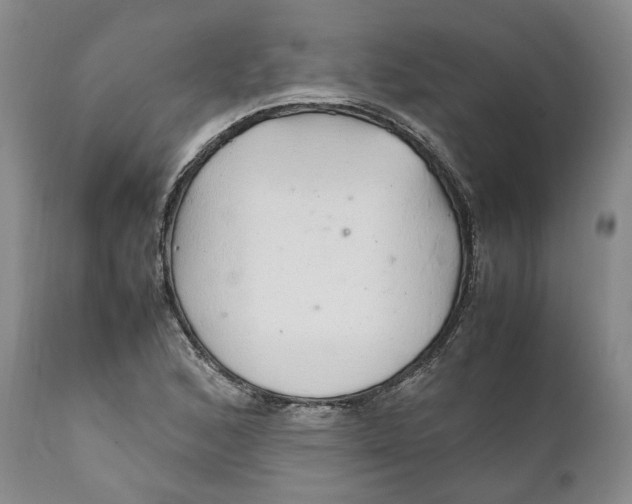 X0000112041168200908241555