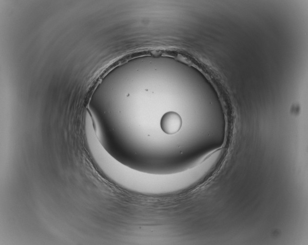 X0000112041169200908241555