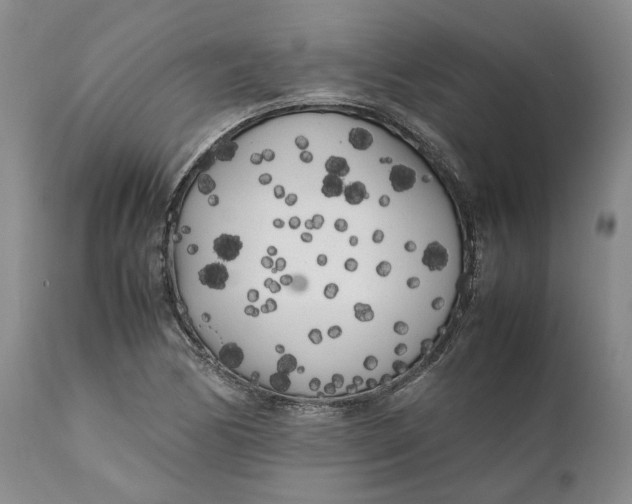 X0000112041170200908241555