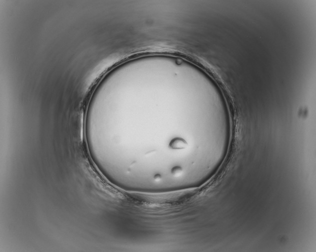 X0000112041171200908241555