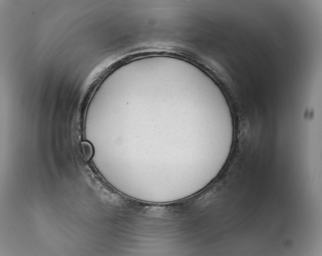 X0000112041172200908241555