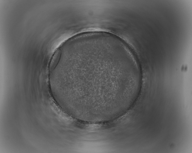 X0000112041173200908241555