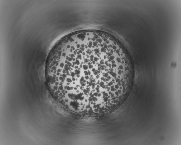 X0000112041174200908241555