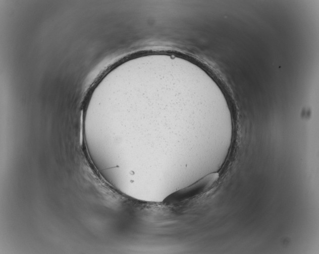 X0000112041175200908241555