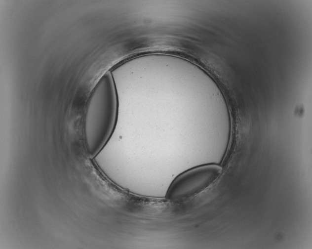 X0000112041177200908241555