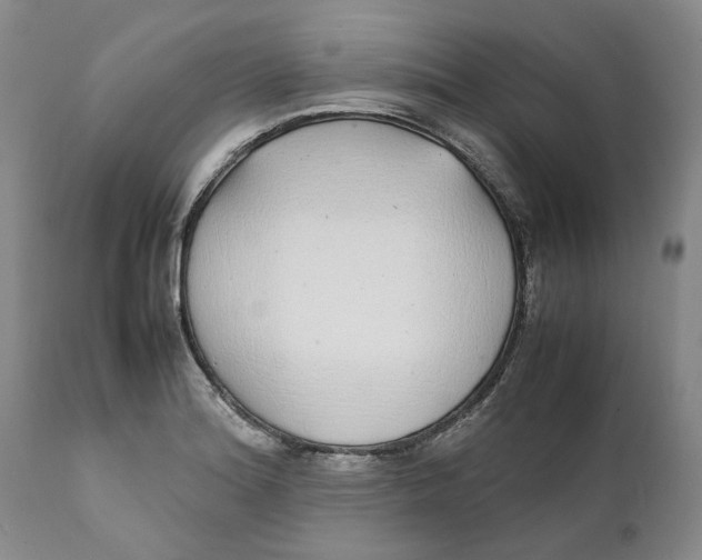 X0000112041180200908241555