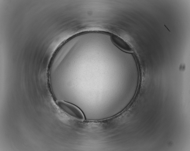 X0000112041181200908241555