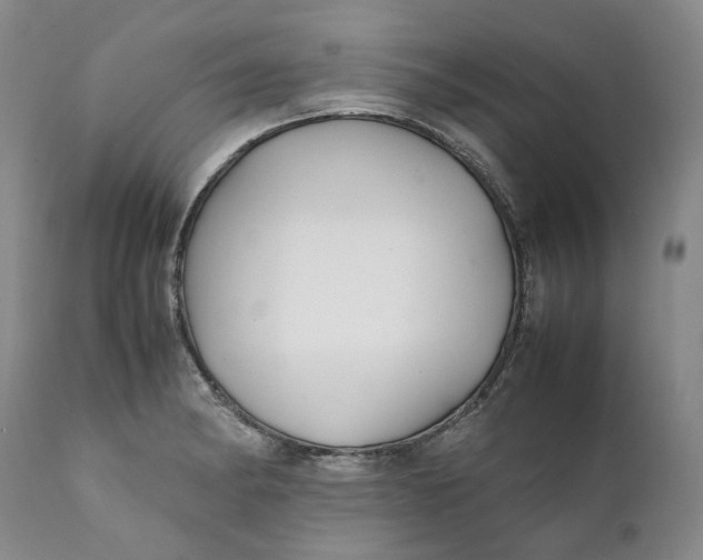 X0000112041182200908241555