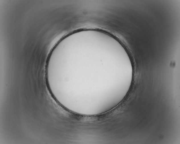 X0000112041183200908241555