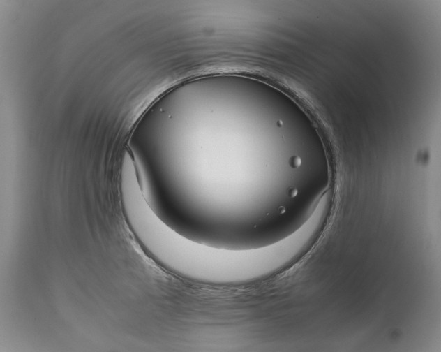 X0000112041185200908241555