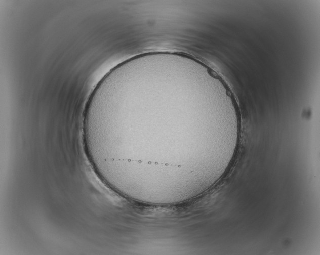 X0000112041187200908241555