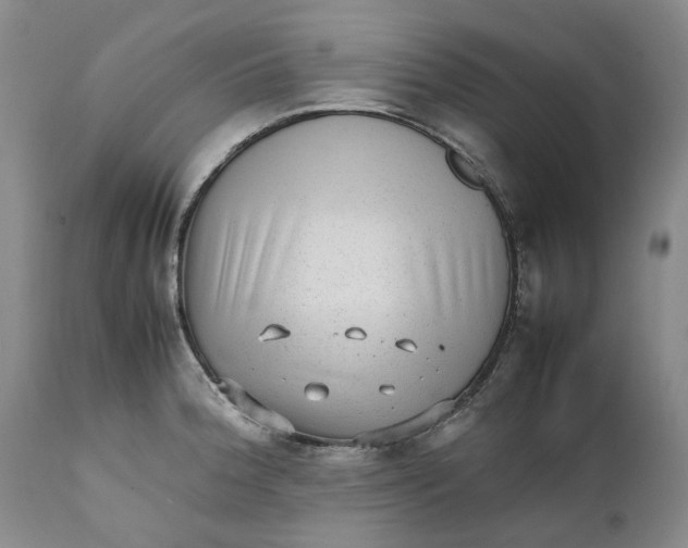 X0000112041188200908241555