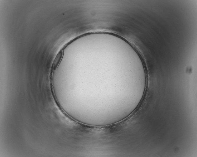 X0000112041189200908241555