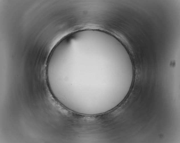 X0000112041190200908241555