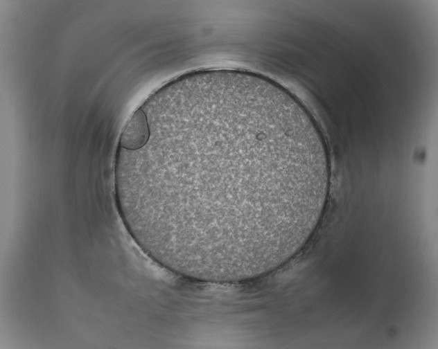 X0000112041191200908241555