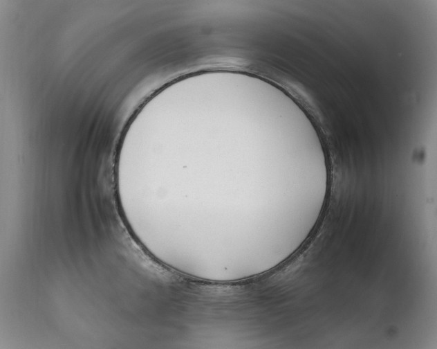 X0000112041192200908241555