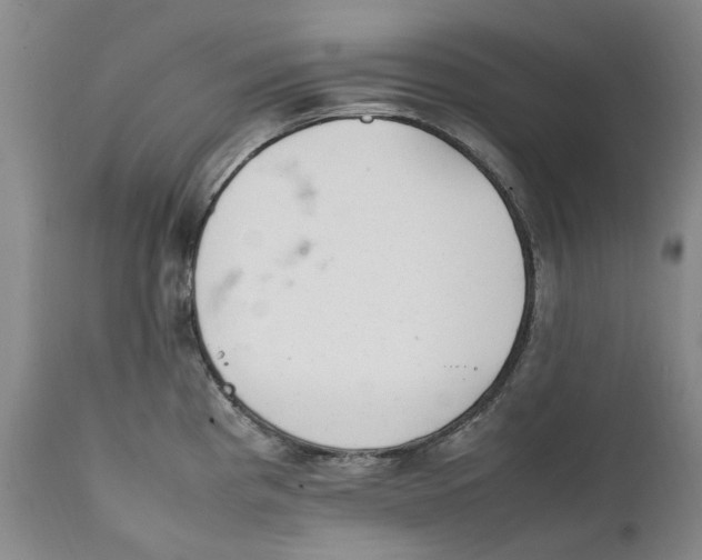 X0000112041193200908241555