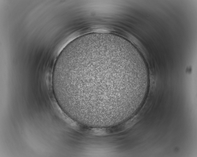 X0000112041194200908241555