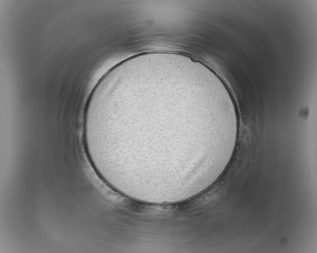 X0000112041195200908241555