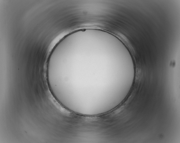 X0000112041196200908241555