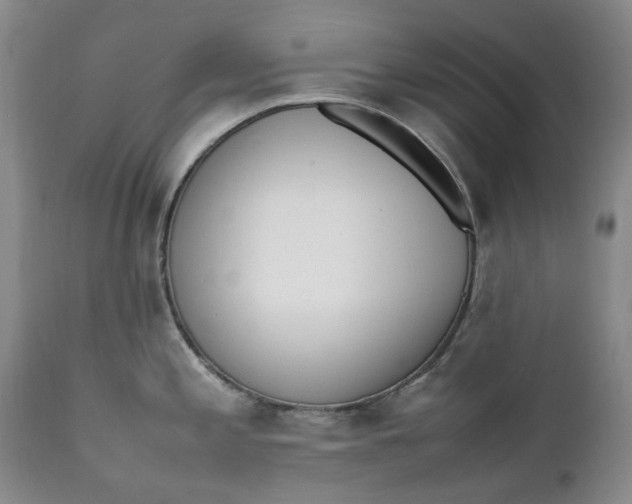 X0000112041197200908241555