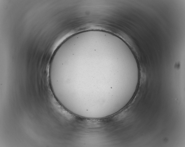 X0000112041198200908241555