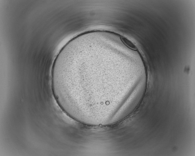 X0000112041199200908241555